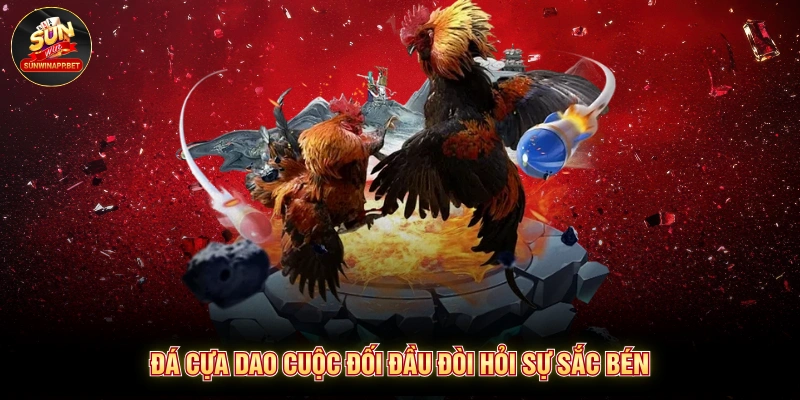 Đá cựa dao cuộc đối đầu đòi hỏi sự sắc bén