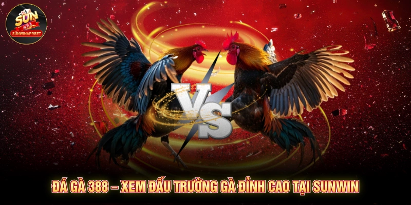 Đá gà SV388