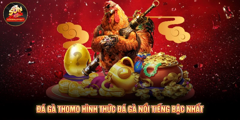 Đá gà thomo hình thức đá gà nổi tiếng bậc nhất