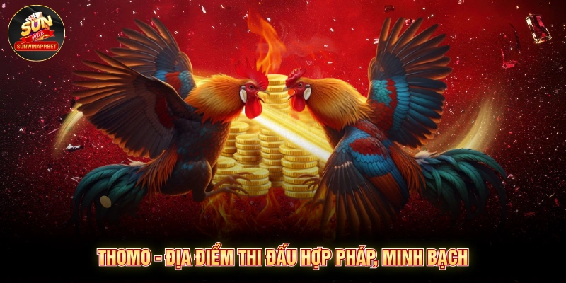 Thomo - Địa điểm thi đấu hợp pháp, minh bạch